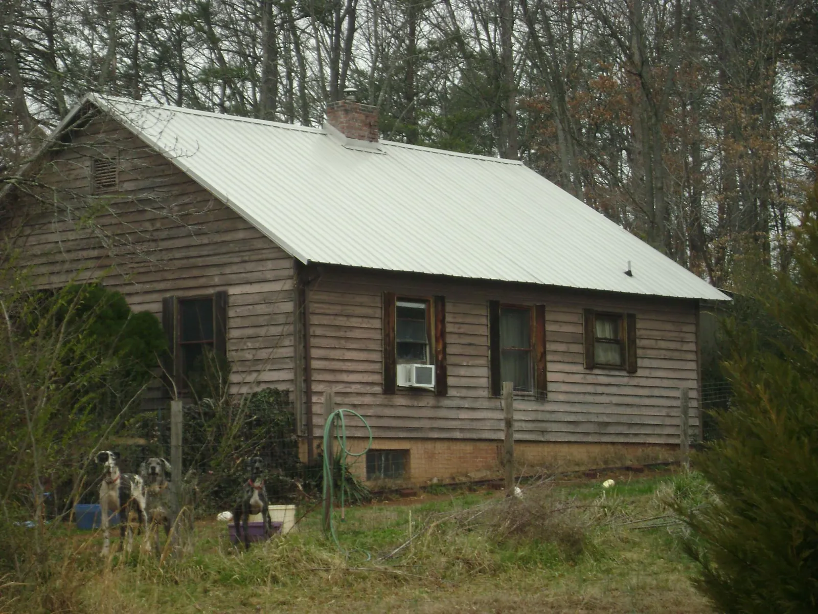 White metal roof on an old wood sided farmhouse, from a Metal Roof Installation job in Dimondale